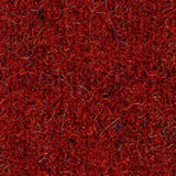 Pugirg Fenice 1230.jpg